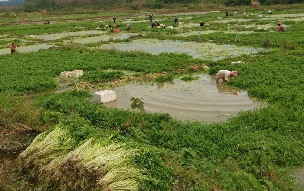 122cc太阳集成游戏(中国)有限公司官网